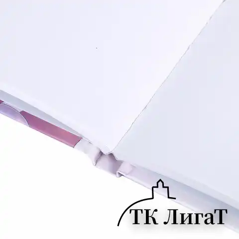 Скетчбук, белая бумага 80 г/м2, 145х203 мм, 80 л., резинка, твердый, BRAUBERG ART DEBUT "Аниме", 114578