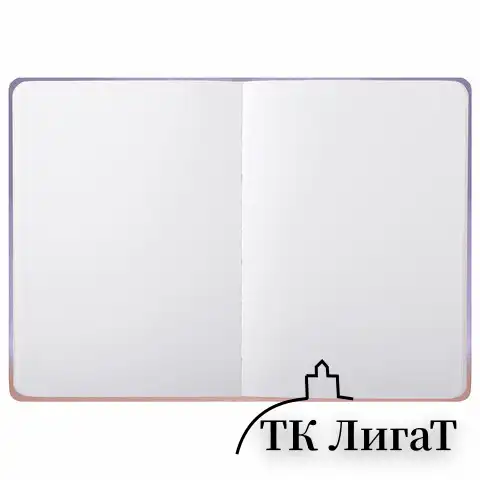 Скетчбук, белая бумага 80 г/м2, 145х203 мм, 80 л., резинка, твердый, BRAUBERG ART DEBUT "Корги", 114579