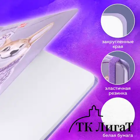 Скетчбук, белая бумага 80 г/м2, 145х203 мм, 80 л., резинка, твердый, BRAUBERG ART DEBUT "Корги", 114579