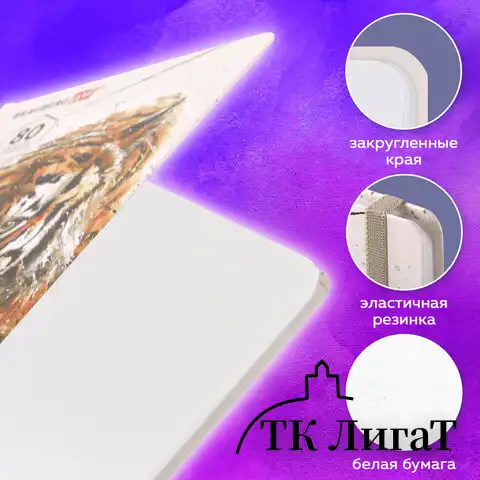 Скетчбук, белая бумага 80 г/м2, 145х203 мм, 80 л., резинка, твердый, BRAUBERG ART DEBUT "Тигр", 114580