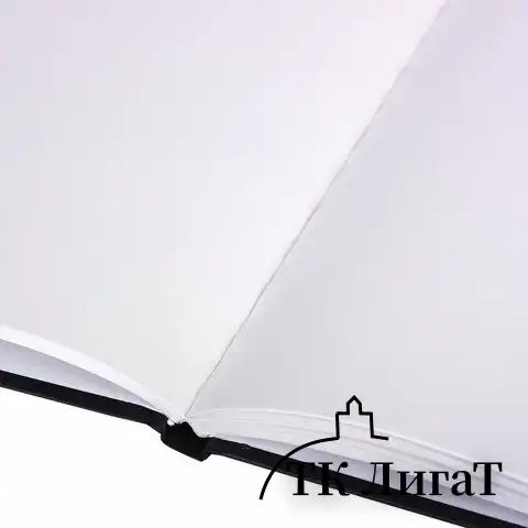 Скетчбук, белая бумага 80 г/м2, 145х203 мм, 80 л., резинка, твердый, BRAUBERG ART DEBUT "Тигр", 114580