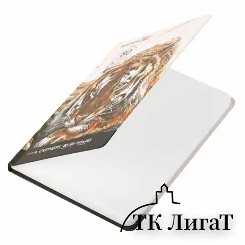 Скетчбук, белая бумага 80 г/м2, 145х203 мм, 80 л., резинка, твердый, BRAUBERG ART DEBUT "Тигр", 114580