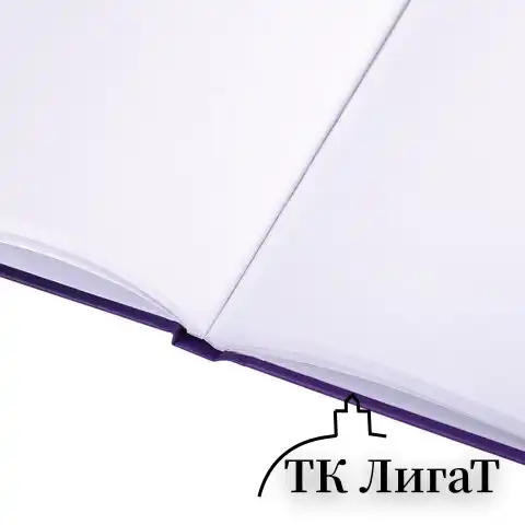 Скетчбук, белая бумага 80 г/м2, 195х195 мм, 80 л., резинка, твердый, BRAUBERG ART DEBUT "Лев", 114582
