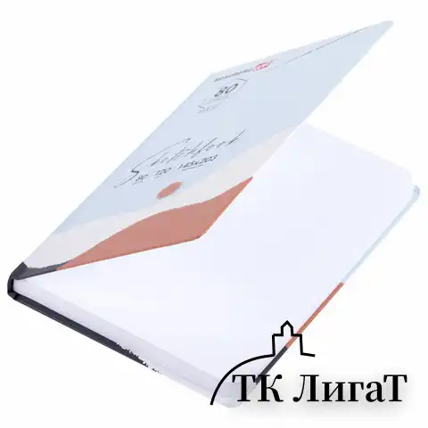 Скетчбук, белая бумага 120 г/м2 145х203 мм, 80 л., резинка, твердый, BRAUBERG ART DEBUT "Дюна", 114586
