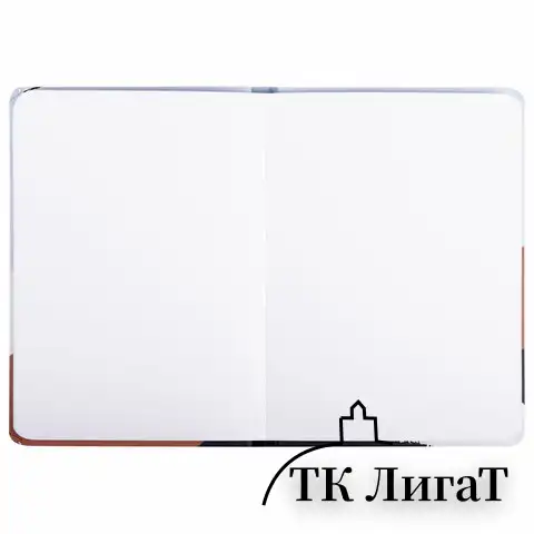Скетчбук, белая бумага 120 г/м2 145х203 мм, 80 л., резинка, твердый, BRAUBERG ART DEBUT "Дюна", 114586