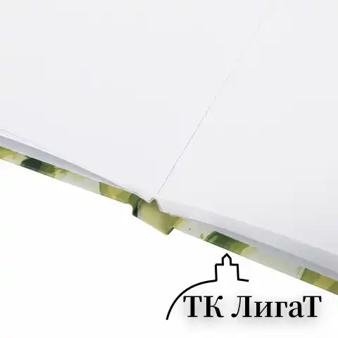 Скетчбук, белая бумага 160 г/м2, 145х203 мм, 64 л., резинка, твердый, BRAUBERG ART CLASSIC "Авокадо", 114588