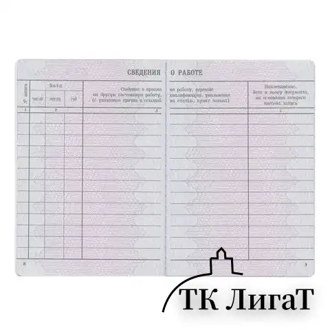 Бланк документа "Вкладыш в трудовую книжку", 88х125 мм, ГОЗНАК