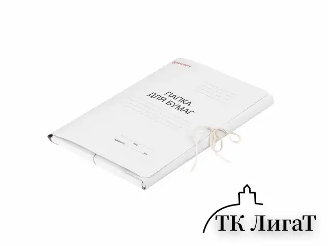 Папка для бумаг с завязками картонная мелованная BRAUBERG, гарантированная плотность 320 г/м2, до 200 листов, 121513