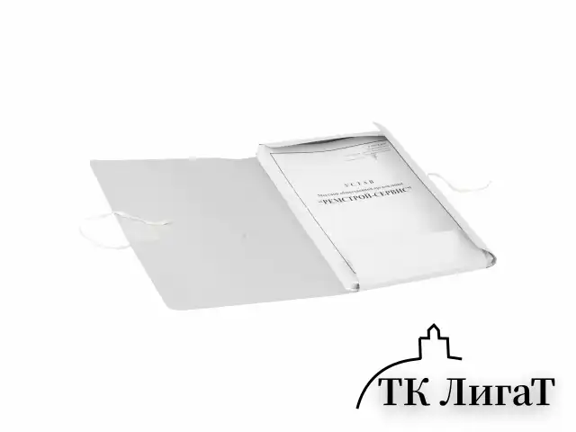 Папка для бумаг с завязками картонная мелованная BRAUBERG, гарантированная плотность 320 г/м2, до 200 листов, 121513