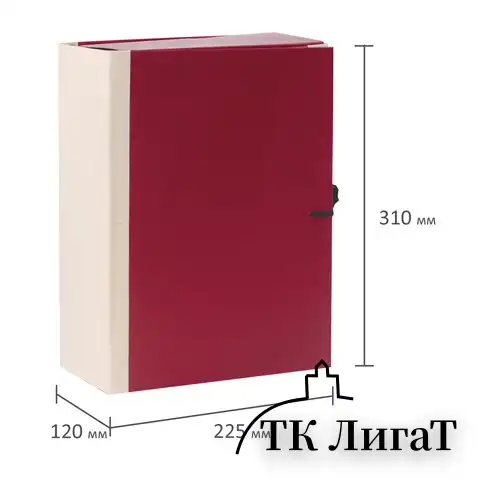Папка для бумаг архивная А4 (225х310 мм), 120 мм, 4 завязки, бумвинил, корешок - коленкор, 123201