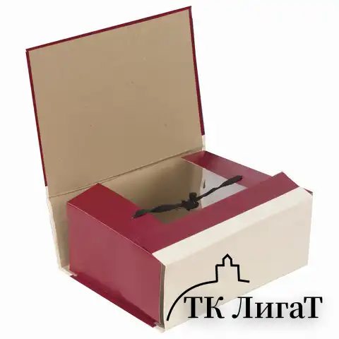 Папка для бумаг архивная А4 (225х310 мм), 120 мм, 4 завязки, бумвинил, корешок - коленкор, 123201
