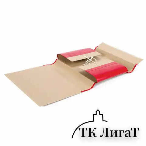 Папка для бумаг архивная А4 (225х310 мм), 80 мм, 4 завязки, крафт, корешок - бумвинил, 123203