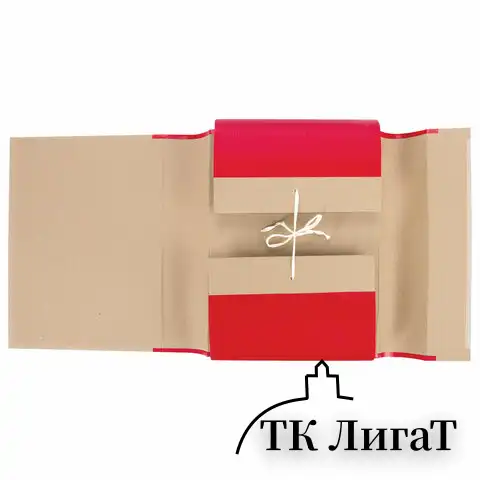 Папка для бумаг архивная А4 (225х310 мм), 80 мм, 4 завязки, крафт, корешок - бумвинил, 123203