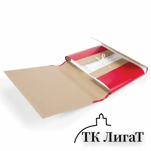 Папка для бумаг архивная А4 (225х310 мм), 80 мм, 4 завязки, крафт, корешок - бумвинил, 123203