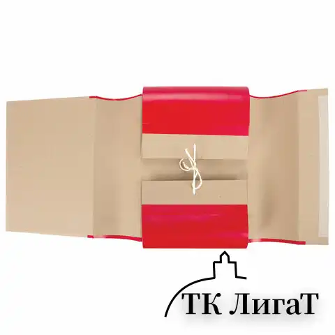 Папка для бумаг архивная А4 (225х310 мм), 120 мм, 4 завязки, крафт, корешок - бумвинил, 123204