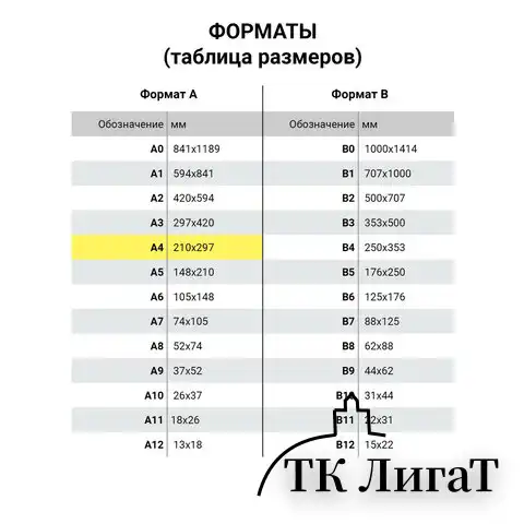 Папка для бумаг архивная А4 (225х310 мм), 120 мм, 4 завязки, крафт, корешок - бумвинил, 123204