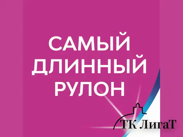 Бумага туалетная 2-х слойная, 12 рулонов (12х23 м), белая, ZEWA Plus, 144090