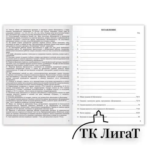 Классный журнал BRAUBERG 1-4 кл., А4, 200х290 мм, твердая ламинированная обложка, офсет, 125140