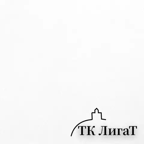 Бумага для акварели БОЛЬШАЯ А2, 10 л., 200 г/м2, 400х590 мм, BRAUBERG, "Цветы", 125223