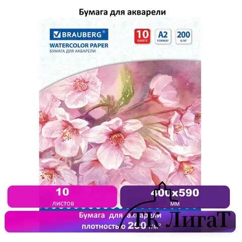 Бумага для акварели БОЛЬШАЯ А2, 10 л., 200 г/м2, 400х590 мм, BRAUBERG, "Цветы", 125223