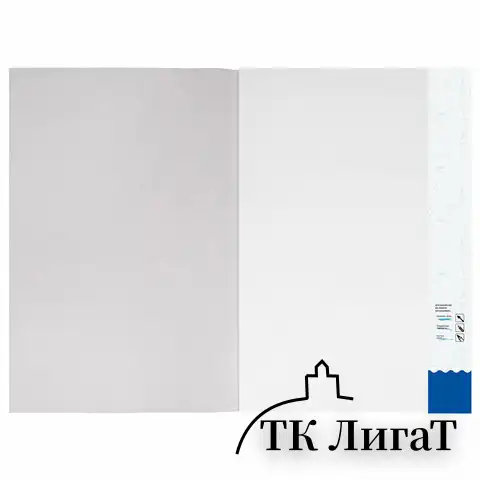 Бумага для акварели БОЛЬШАЯ А2, 10 л., 200 г/м2, 400х590 мм, BRAUBERG, "Цветы", 125223