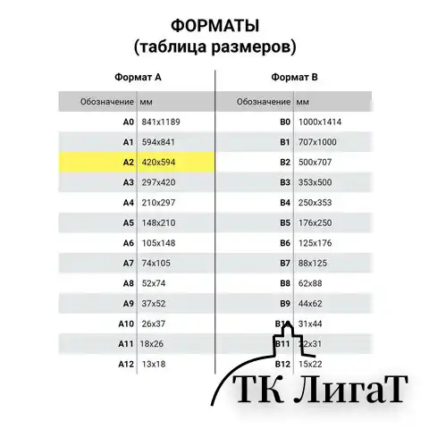 Бумага для акварели БОЛЬШАЯ А2, 10 л., 200 г/м2, 400х590 мм, BRAUBERG, "Цветы", 125223