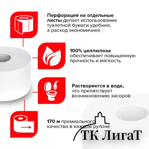 Бумага туалетная 170 м, LAIMA (T2), PREMIUM, 2-слойная, цвет белый, КОМПЛЕКТ 12 рулонов, 126092