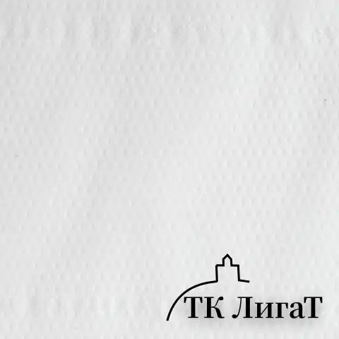Бумага туалетная 170 м, LAIMA (T2), PREMIUM, 2-слойная, цвет белый, КОМПЛЕКТ 12 рулонов, 126092