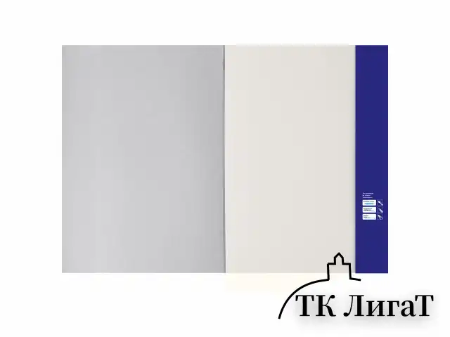 Бумага для пастели БОЛЬШАЯ А3, 20 л., 200г/м2, слоновая кость ГОЗНАК 200 г/м2, тиснение Холст, BRAUBERG ART, 126305
