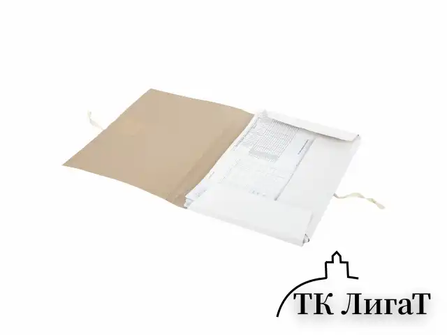 Папка для бумаг с завязками картонная STAFF, гарантированная плотность 220 г/м2, до 200 л., 126525