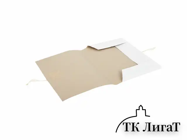 Папка для бумаг с завязками картонная STAFF, гарантированная плотность 220 г/м2, до 200 л., 126525