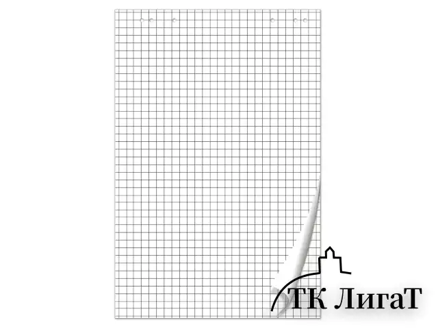 Блокнот для флипчарта BRAUBERG, 50 листов, клетка, 67,5х98 см, 80 г/м2, 128647