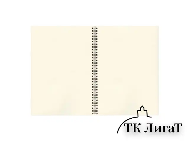 Скетчбук, слоновая кость 150 г/м2, 210х297 мм, 30 л., гребень, BRAUBERG ART CLASSIC, 128947