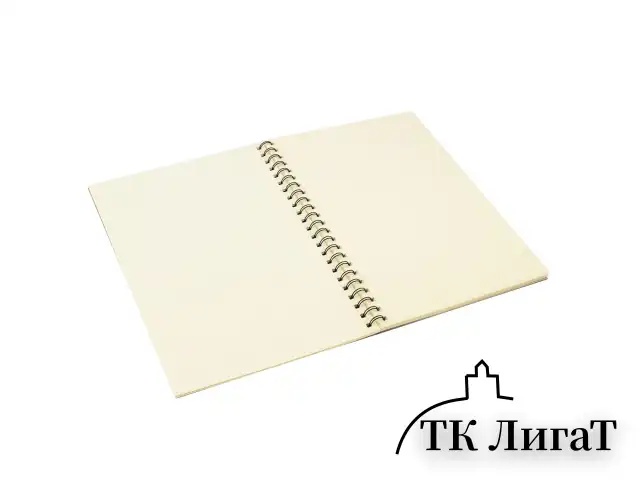 Скетчбук, слоновая кость 150 г/м2, 210х297 мм, 30 л., гребень, BRAUBERG ART CLASSIC, 128947