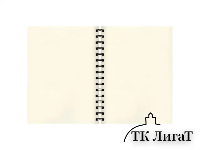 Скетчбук, слоновая кость 150 г/м2, 148х210 мм, 30 л., гребень, BRAUBERG ART CLASSIC, 128948