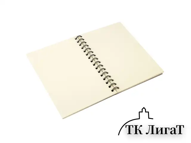 Скетчбук, слоновая кость 150 г/м2, 148х210 мм, 30 л., гребень, BRAUBERG ART CLASSIC, 128948