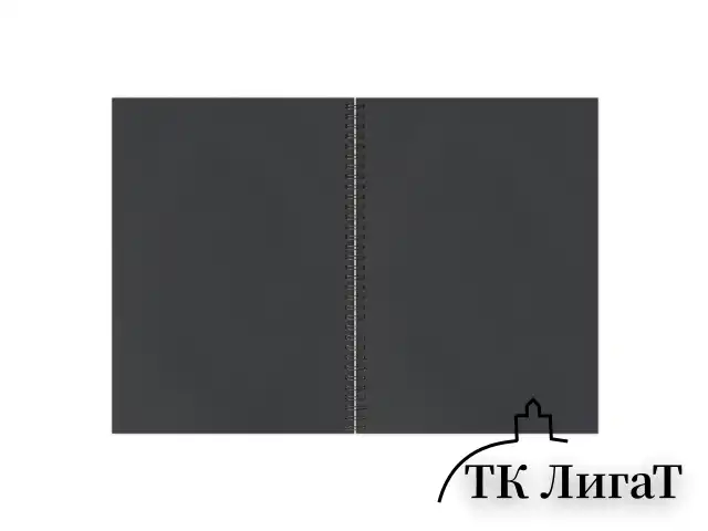 Скетчбук, черная бумага 120 г/м2, 148х210 мм, 32 л., гребень, BRAUBERG ART CLASSIC, 128952