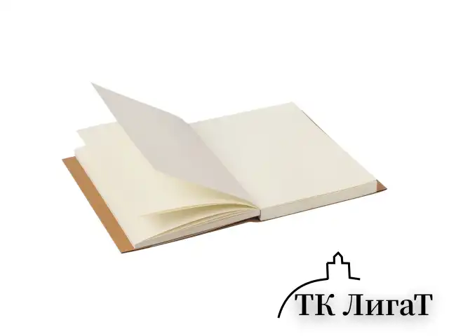Скетчбук, слоновая кость 100 г/м2, 148х210 мм, 120 л., прошивка, BRAUBERG ART CLASSIC, 128961