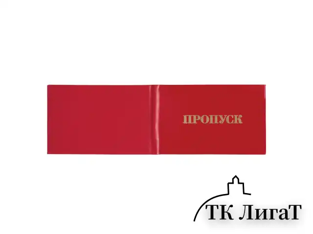 Бланк документа "Пропуск", 65х98 мм, STAFF, 129143