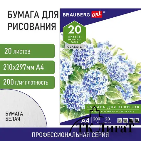 Папка для рисования А4, 20 л., 200 г/м2, BRAUBERG, 210х297 мм, "Сирень", 129223