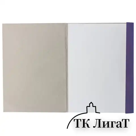 Папка для рисования А4, 20 л., 200 г/м2, BRAUBERG, 210х297 мм, "Сирень", 129223