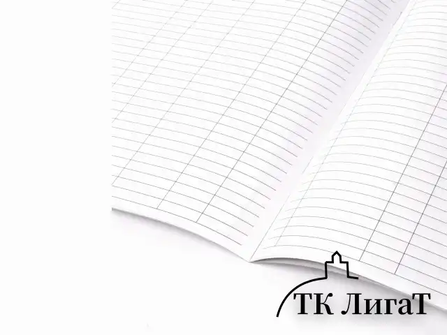 Домовая книга (поквартирная), форма №11, 12 л., картон, офсет, А4 (198х278 мм), STAFF, 130192