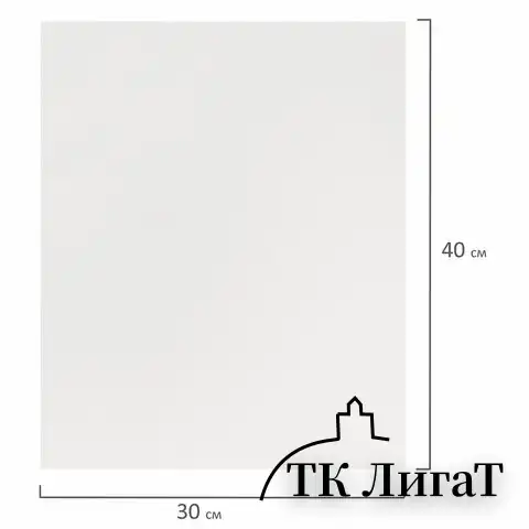 Холст на подрамнике BRAUBERG ART DEBUT, 30х40см, грунтованный, 100% хлопок, мелкое зерно, 191023