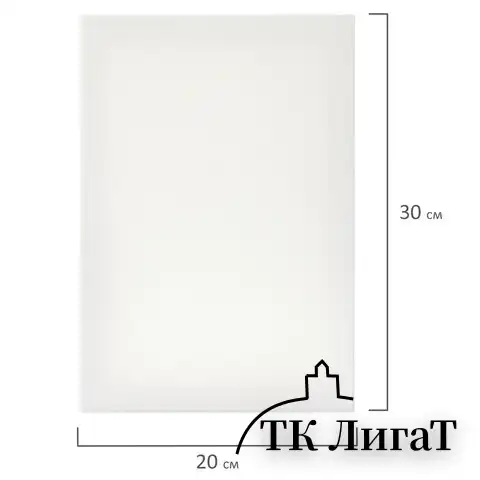 Холсты на подрамнике BRAUBERG ART DEBUT, НАБОР 3шт, 280г/м, грунт, 100% хлопок, мелкое зерно, 191649
