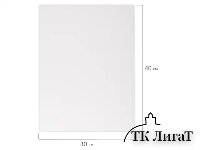 Холст 3D на подрамнике BRAUBERG ART CLASSIC 30х40см, 440г/м, грунт, 100% хлопок мелкое зерно, 191663