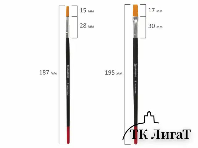 Кисти BRAUBERG, набор 5 шт. (синтетика, круглые № 1, 2, 5, плоские № 5, 8), блистер, 200219