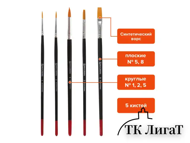 Кисти BRAUBERG, набор 5 шт. (синтетика, круглые № 1, 2, 5, плоские № 5, 8), блистер, 200219