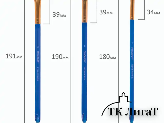 Кисти ПИФАГОР, набор 5 шт. (СИНТЕТИКА: плоские № 1, 2, 3, 4, 5), пакет с европодвесом, 200888