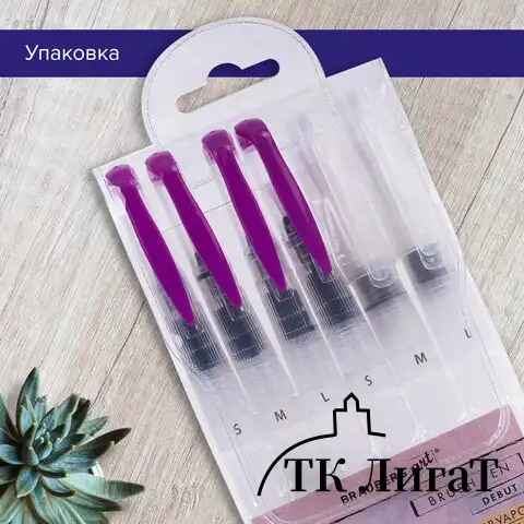 Кисти художественные с резервуаром для воды, синтетика, набор 6 шт., BRAUBERG ART DEBUT, 200965