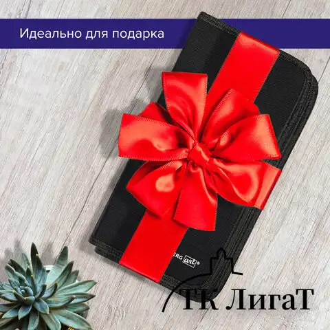 Кисти художественные набор 12 шт. в черном пенале, синтетика, BRAUBERG ART CLASSIC, № 0-14 + веерная, 200966